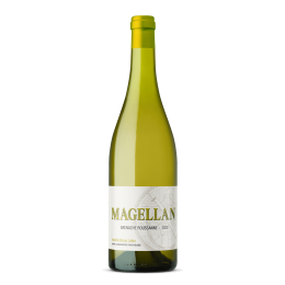 Grenache Roussanne 2024 Blanc