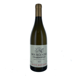 Bourgogne Chardonnay 2022 Blanc