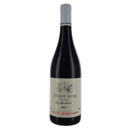 Pinot Noir 2023 Rouge