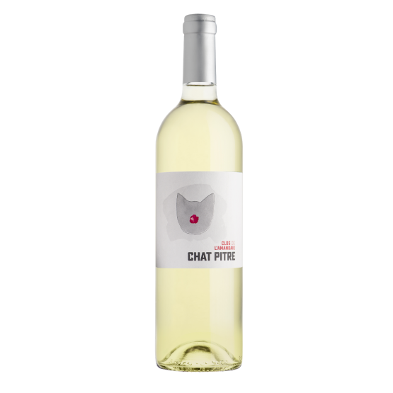 Chat Pitre Blanc 2025